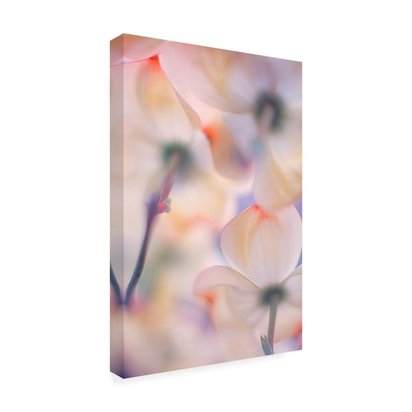 Francois Casanova 'Under The Skirts Of Flowers' Canvas Art,22x32